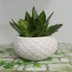 naturedge-round-diamond-pot